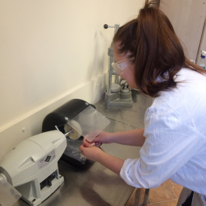 zajecia dentystyczne