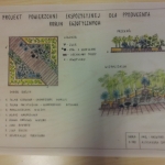 Architektura krajobrazu - projekty
